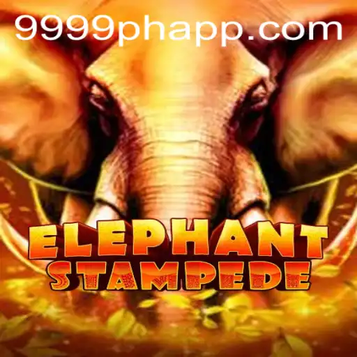 Welcome to the Jungle: Exploring ElephantStampede