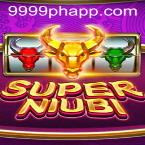 The Thrilling World of SuperNiubi: An In-Depth Exploration